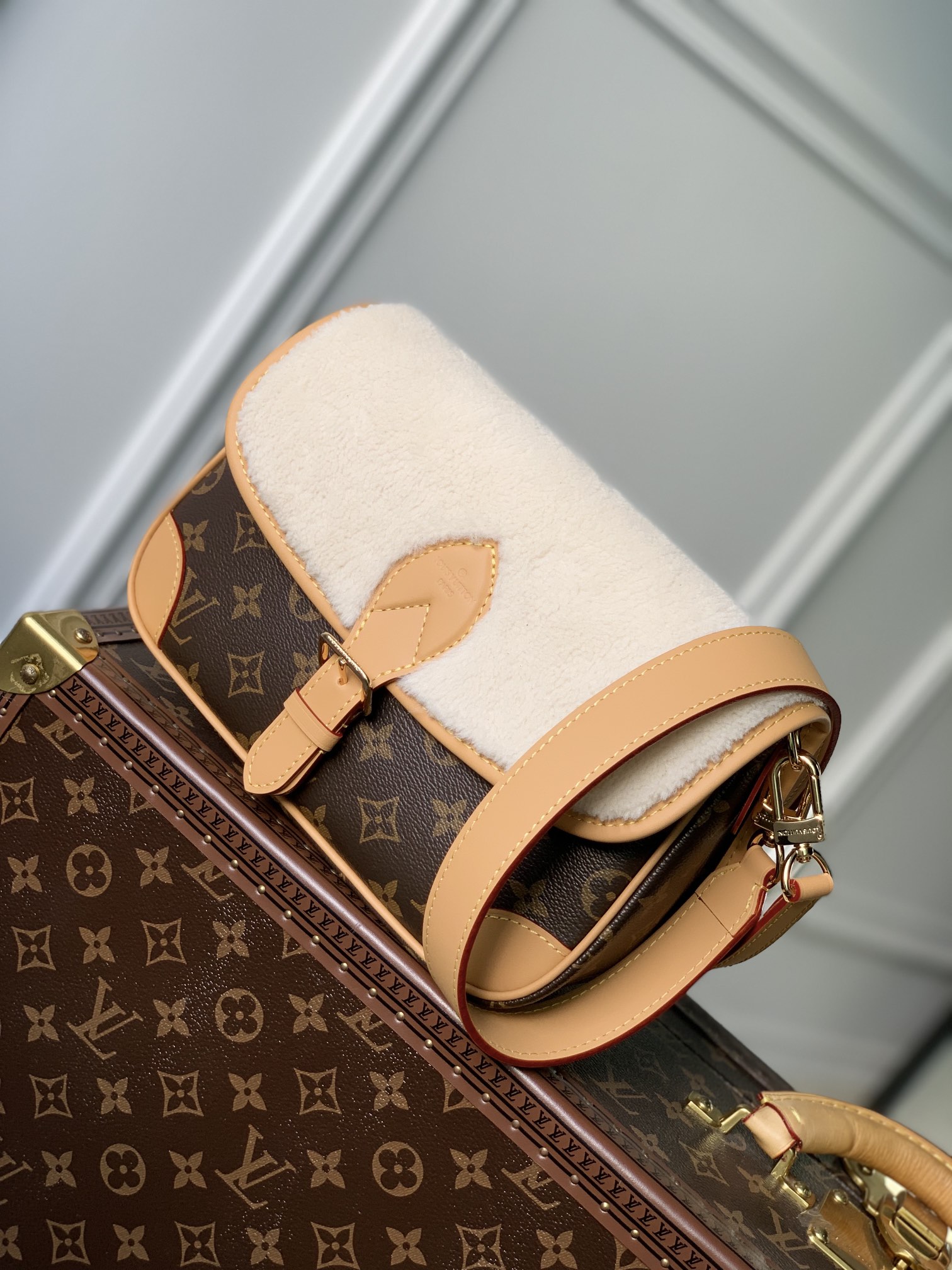 LV Satchel bags